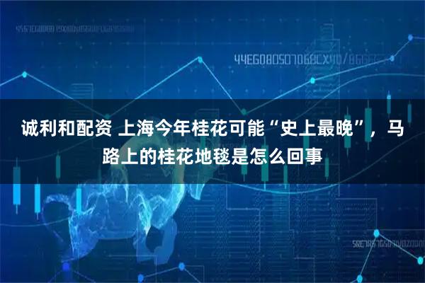 诚利和配资 上海今年桂花可能“史上最晚”，马路上的桂花地毯是怎么回事