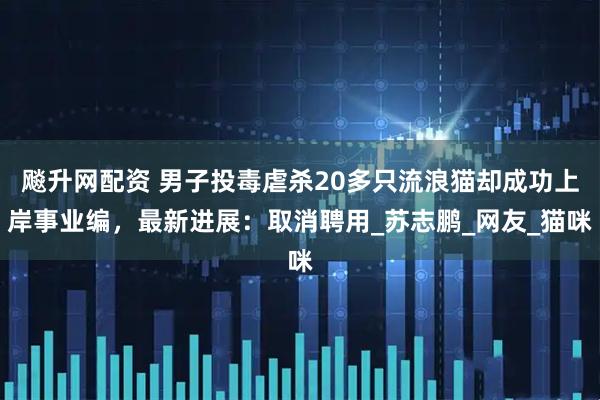 飚升网配资 男子投毒虐杀20多只流浪猫却成功上岸事业编，最新进展：取消聘用_苏志鹏_网友_猫咪